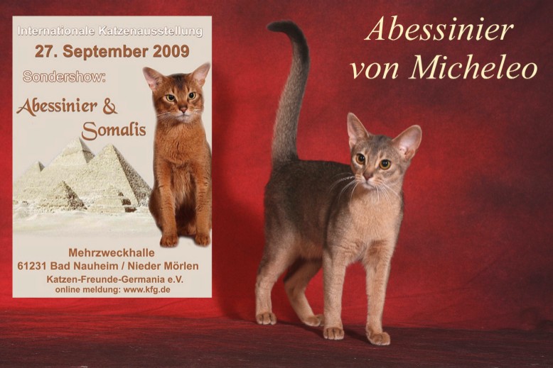 Auf dem Plakat: Unser Kater Epos-Dakapo von Rasputin